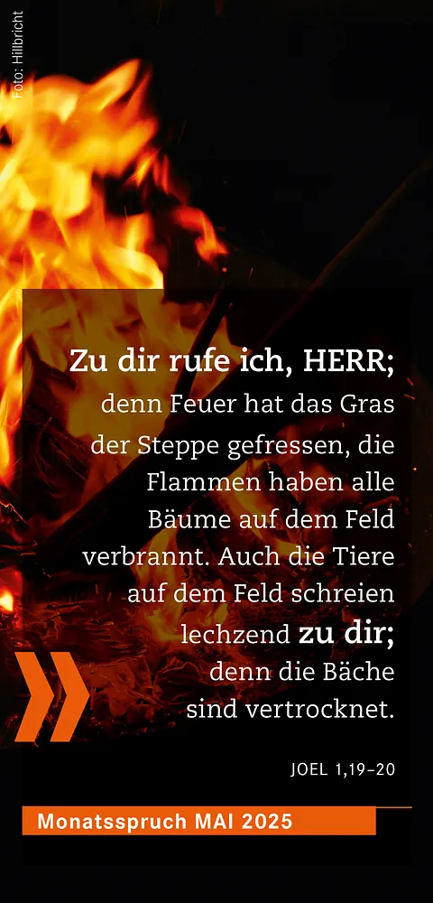 Monatsspruch Mai 2025