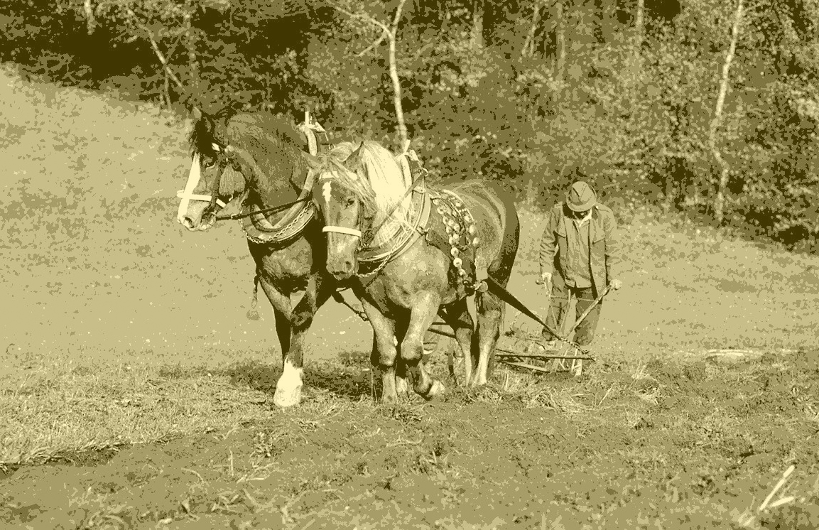 Foto von Bauer mit Pferd der ein Feld pflügt