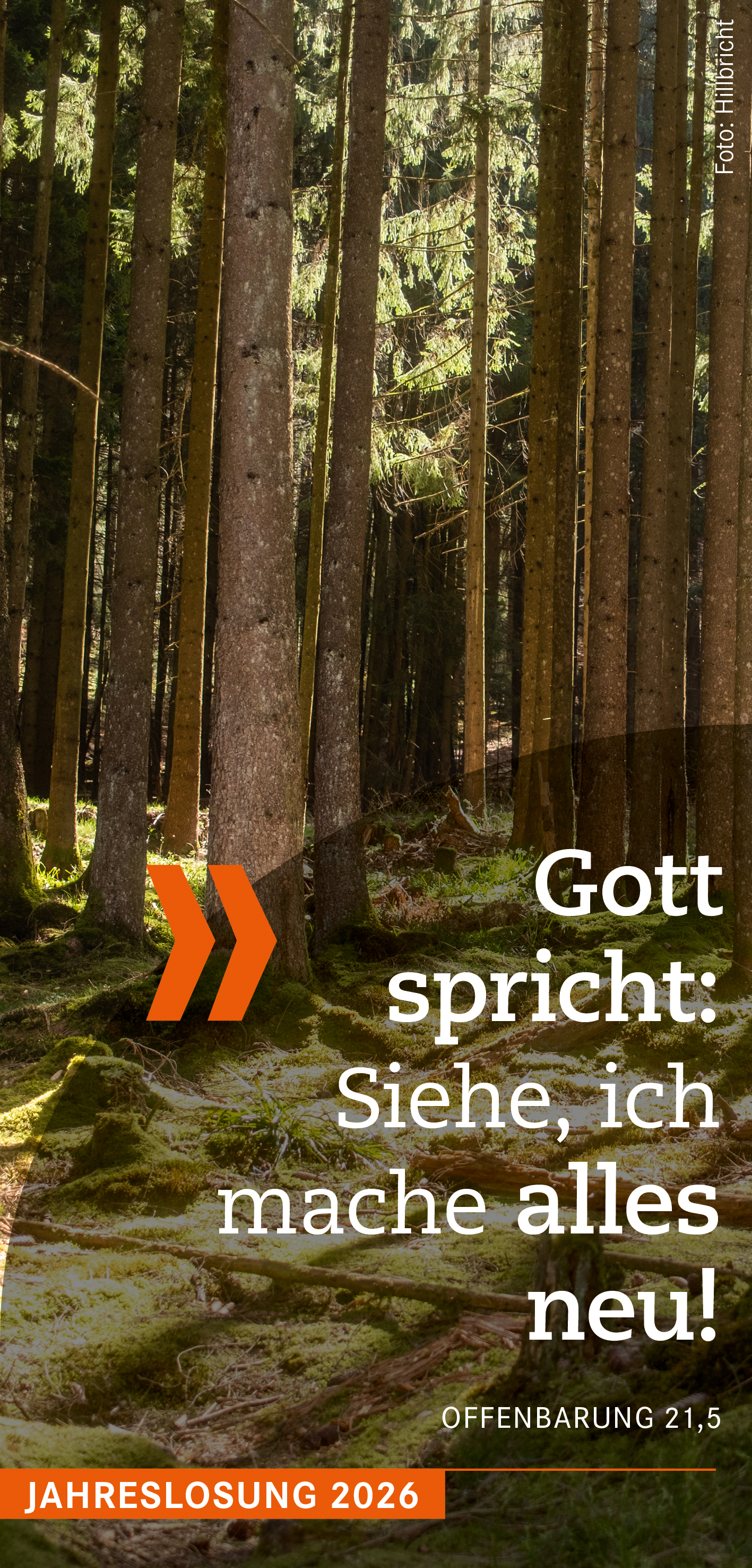 Monatsspruch Dez 2025