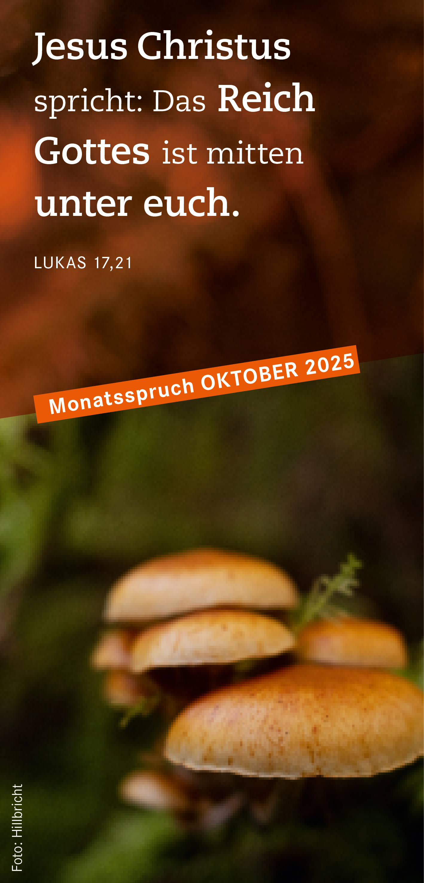 Monatsspruch Oktober 2025