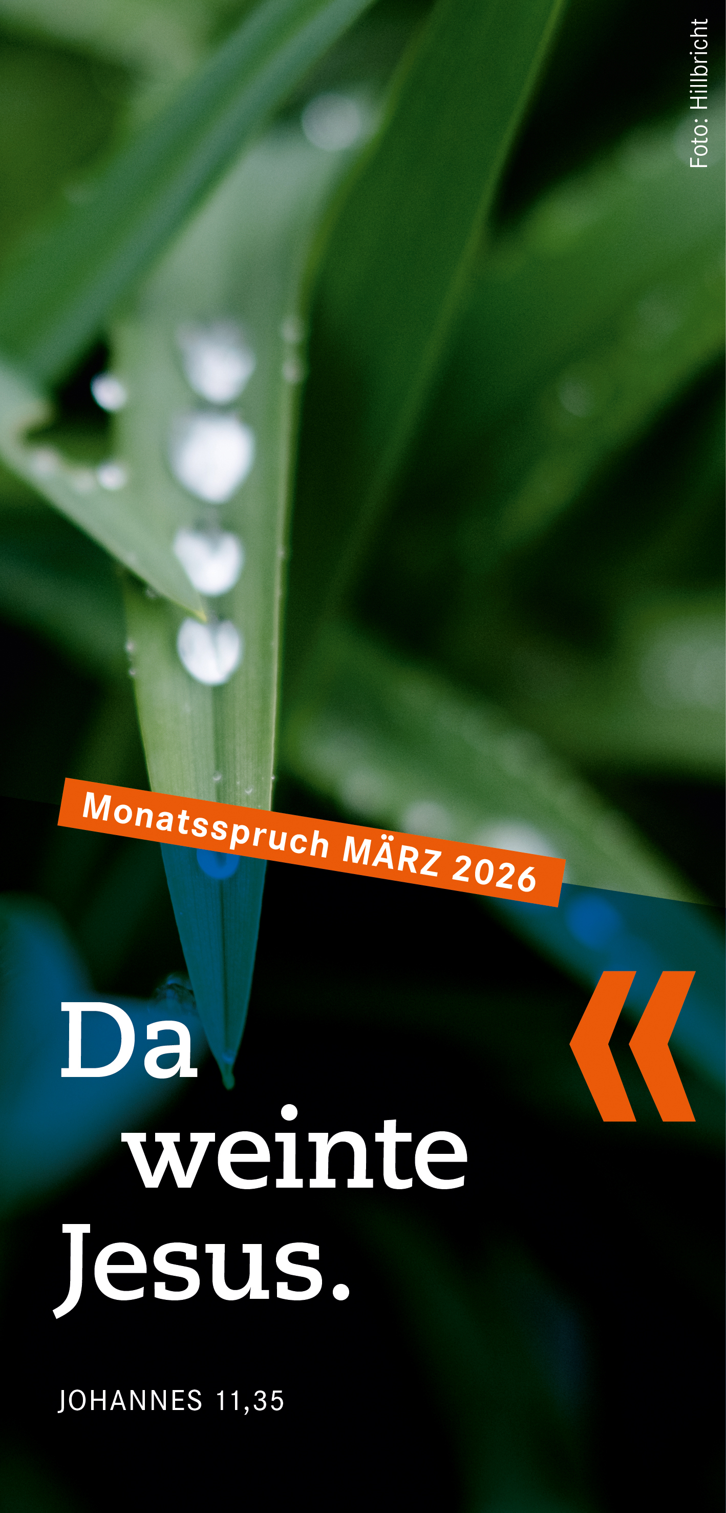 Jahreslosung 2026 mit Bildhintergrund