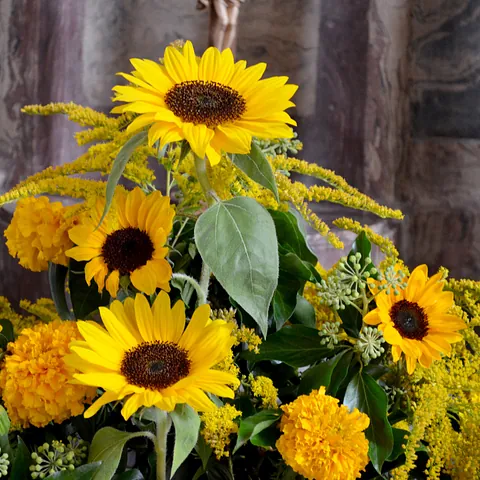 Strauß Sonnenblumen